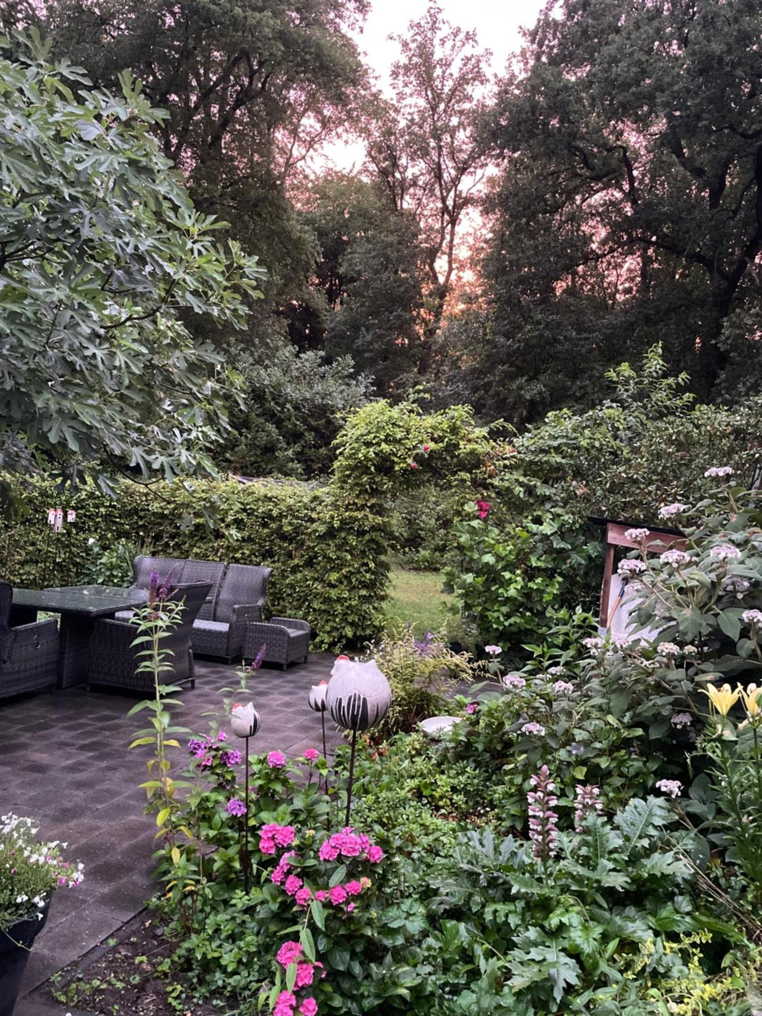 Bed and Breakfast De Hooizolder Hellendoorn Exterior foto